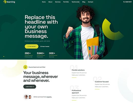 Low Cost Website Design portfolio example, design code 1004