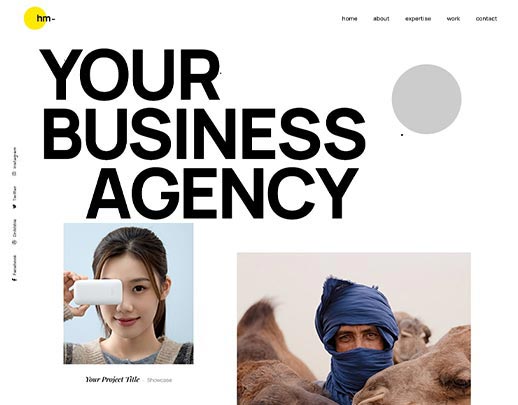 Discount Website Design Services portfolio example, design code 1008