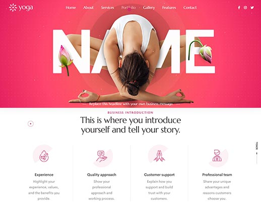 Discount Website Design Services portfolio example, design code 1018