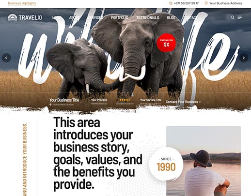 Low Cost Website Design portfolio example, design code 1019