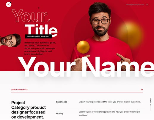 Low Cost Website Design portfolio example, design code 1024