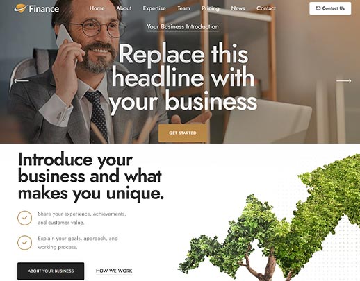 Discount Website Design Services portfolio example, design code 1028