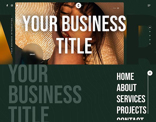Affordable Website Design portfolio example, design code 1031