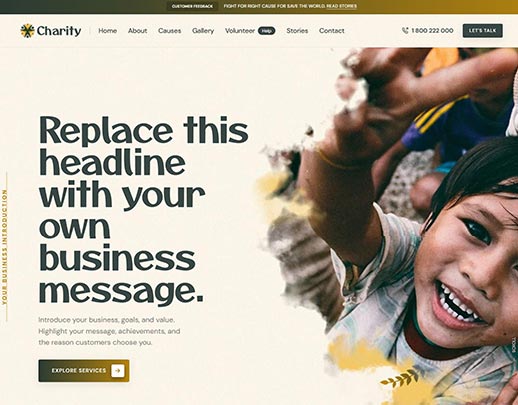 Affordable Website Design portfolio example, design code 1036