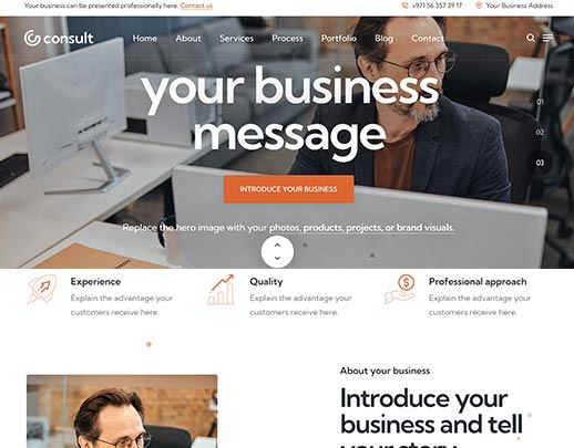 Cheap Website Design portfolio example, design code 1042