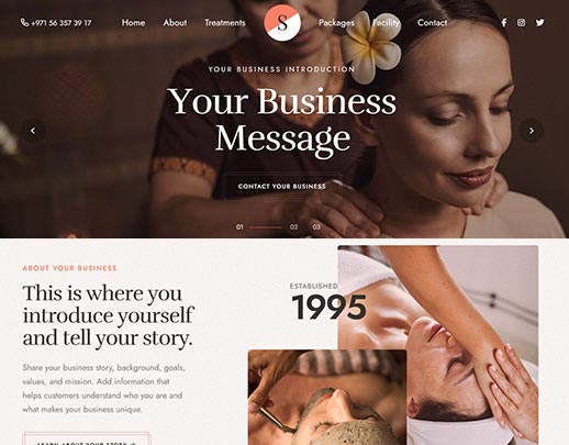 Discount Website Design Services portfolio example, design code 1043